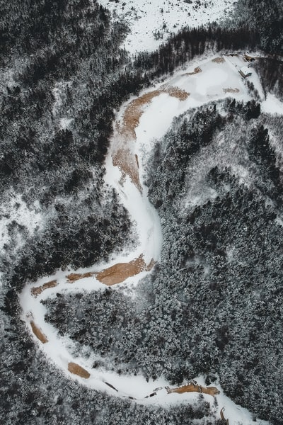 白天被雪覆盖的道路